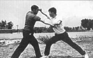 fight5